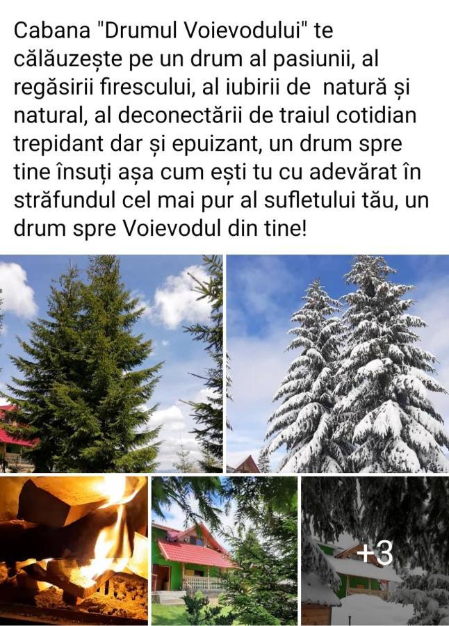 Cabana Drumul Voievodului Vulcan  Exterior photo